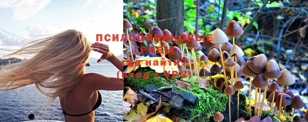 эйфоретик Медногорск