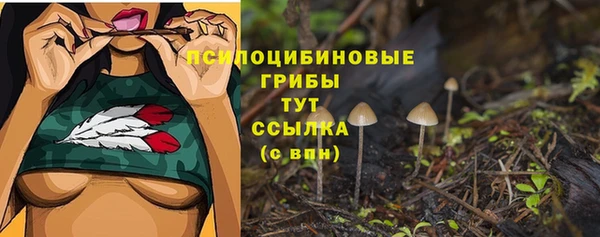 эйфоретик Медногорск