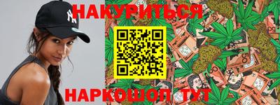 дмт Бийск