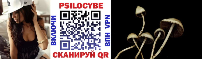 Псилоцибиновые грибы мухоморы  магазин    Кудрово 